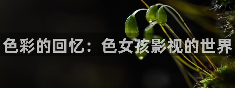 51嫩草影院
