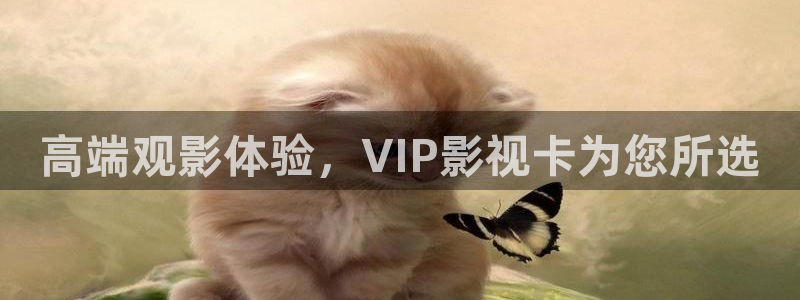 91嫩草综合影院